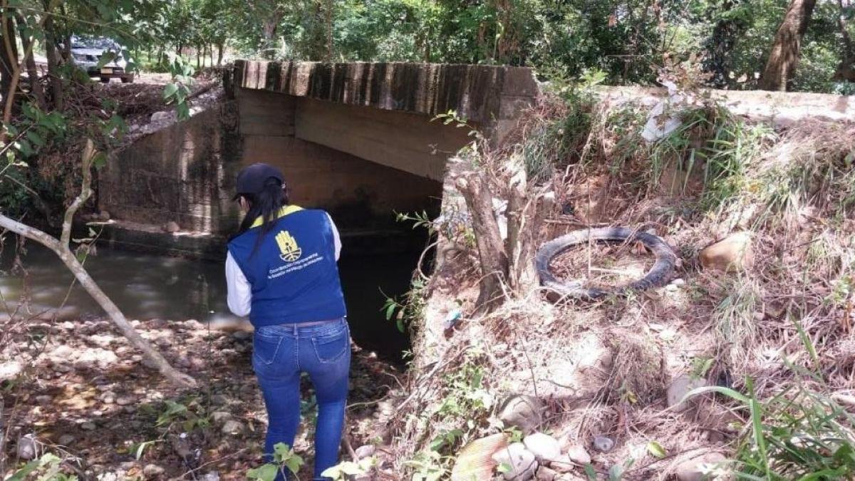 Uno, Que Pertenecería Al 'Zarco', Estaba Decapitado y Otro Estaba Desmembrado