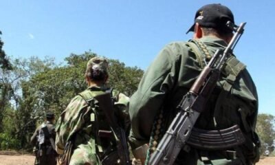 Viajaban Niños Con Trabajadores de Ingenio Azucarero