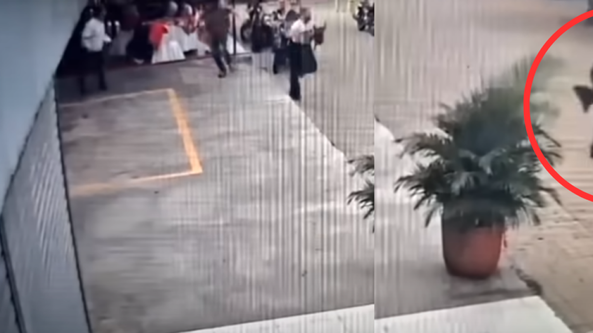 así escapó y se salvó de morir