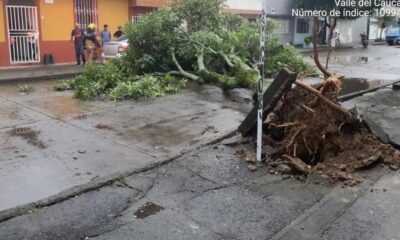 Cali Volvió A Quedar Colapsada por Fuertes Lluvias: En El Oeste, Vendaval Quebró Vidrio de Una Ventana
