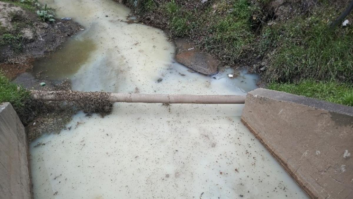 Vértimiano Ilegal de Aguas Industriales en Cajicá Desata Medidas Sancionatorias de la