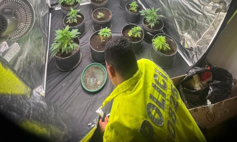 Desmantelan Laboratorio Clandestino de Drogas en Conjunto Cerrado de Madrid, Cundinamar