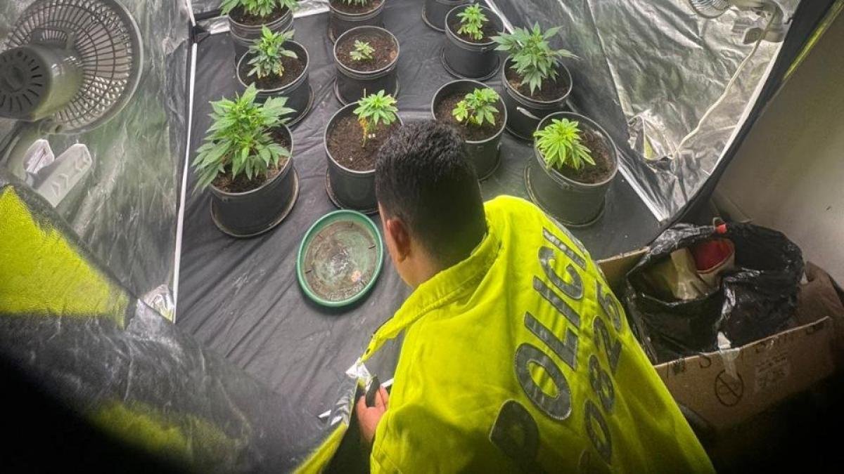 Desmantelan Laboratorio Clandestino de Drogas en Conjunto Cerrado de Madrid, Cundinamar