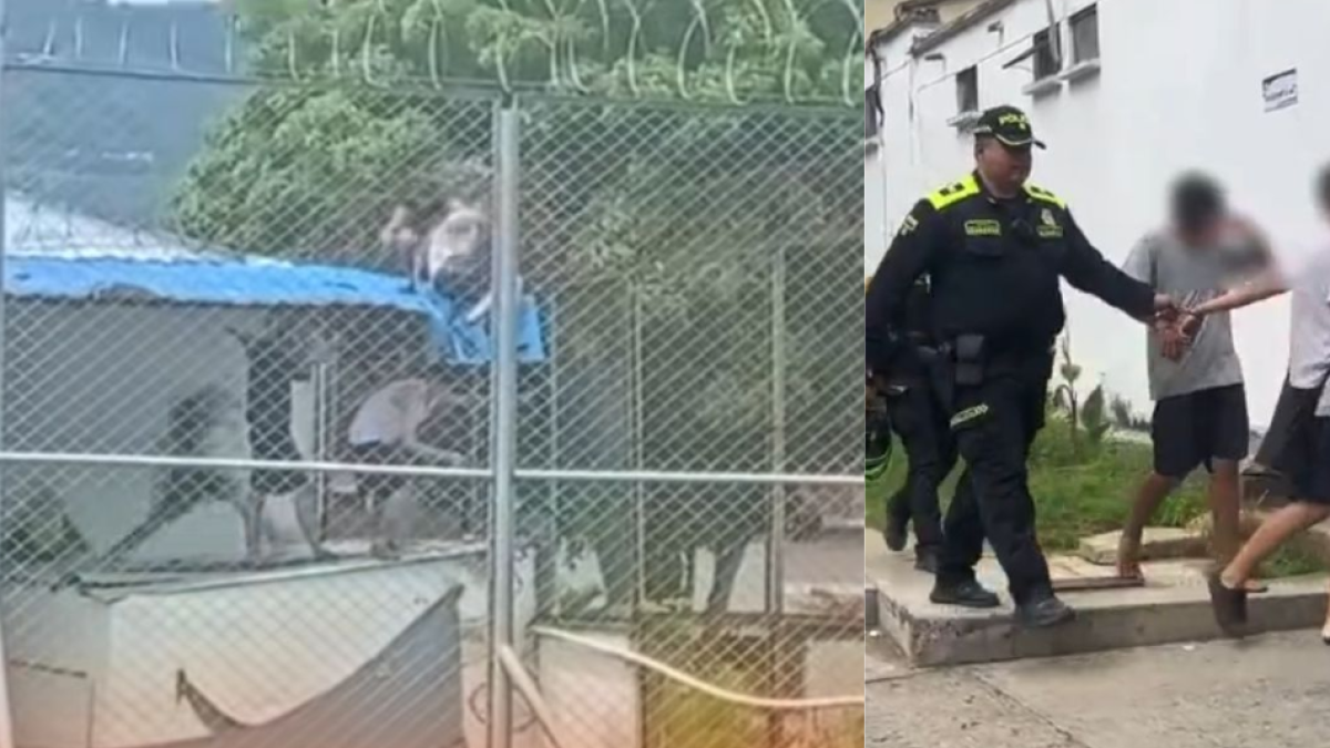 39 Menores se Fugaron de Un Centro de Internamiento Preventivo en Bucaramanga: ESTO ES LO QUE SE SABE