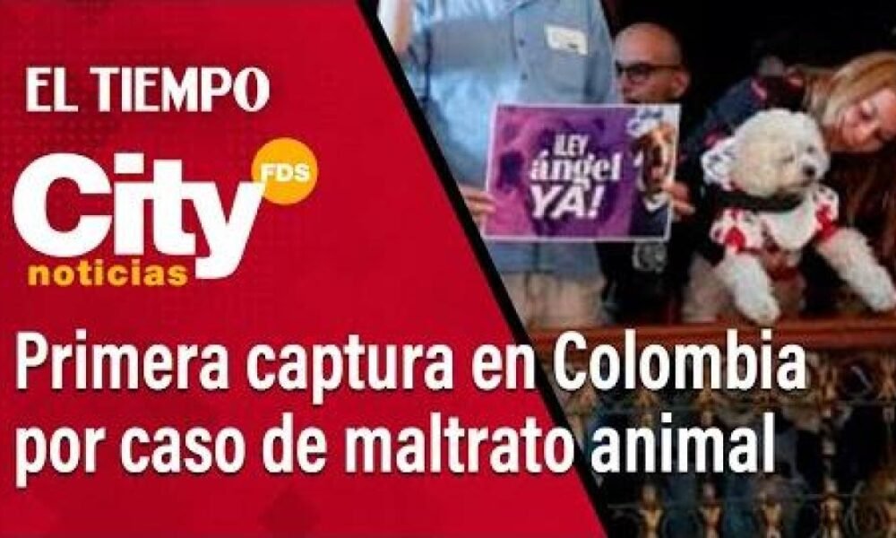 Citynoticias fds 17 de Mayo: Primera Captura en Colombia por Delito Animal