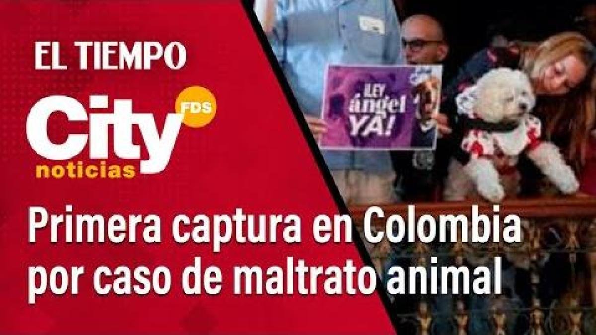 Citynoticias fds 17 de Mayo: Primera Captura en Colombia por Delito Animal