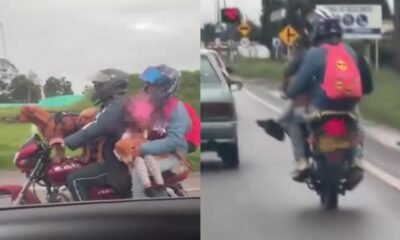 Graban a Pareja imprudente que Llevaba dos perros y una niña en moto en la vía bogotá-tenue
