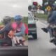 Graban a Pareja imprudente que Llevaba dos perros y una niña en moto en la vía bogotá-tenue