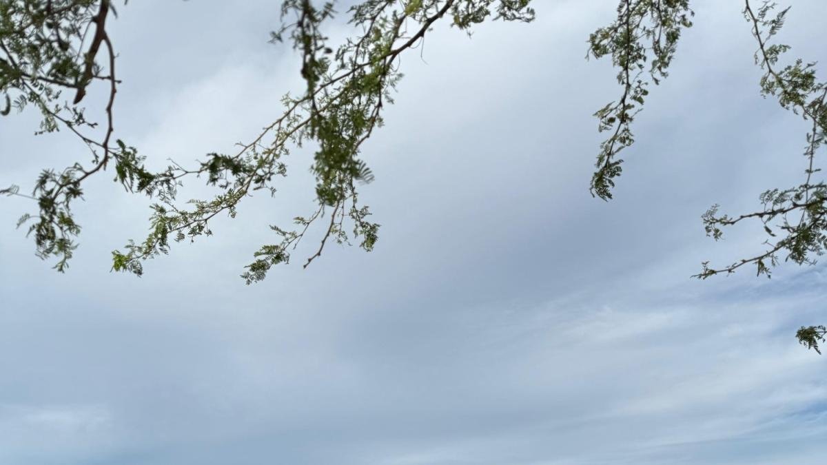 Gobierno Lanza proyecto "Ichitki" para construyir 200 Viviendas Rurales en la Alta Guajira