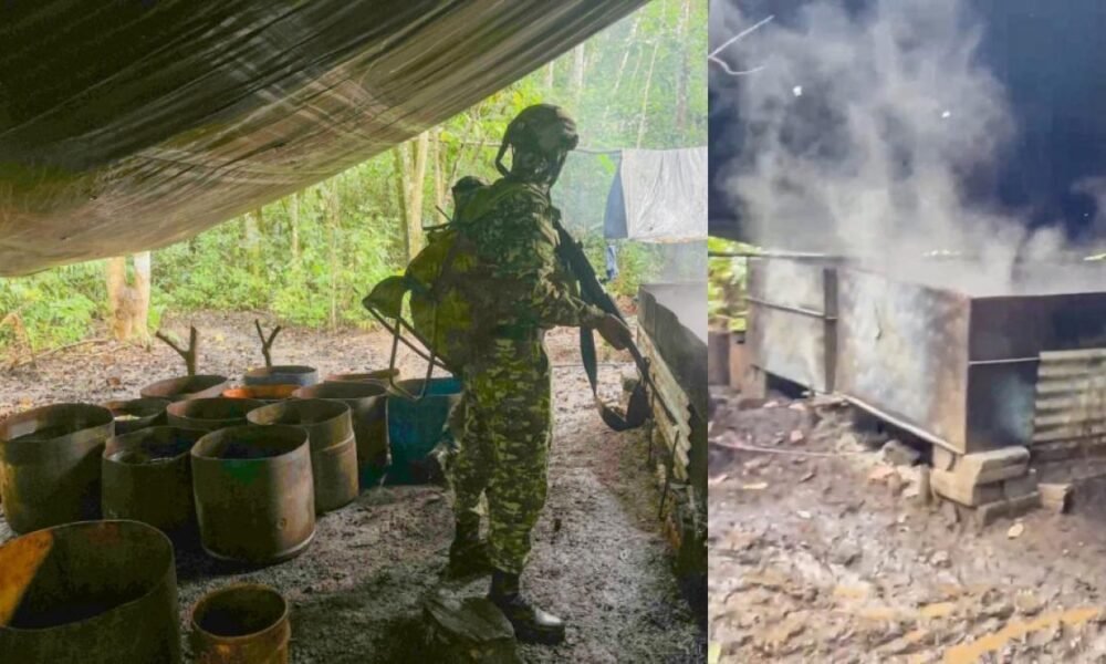 Decomisano 7.693 kg de permanganato y afectán 550 millones