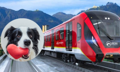 ¿El Metro de Bogotá será amigable para mascotas? Estas Son Las Condiciones para la Comodidad de los Pasajeros