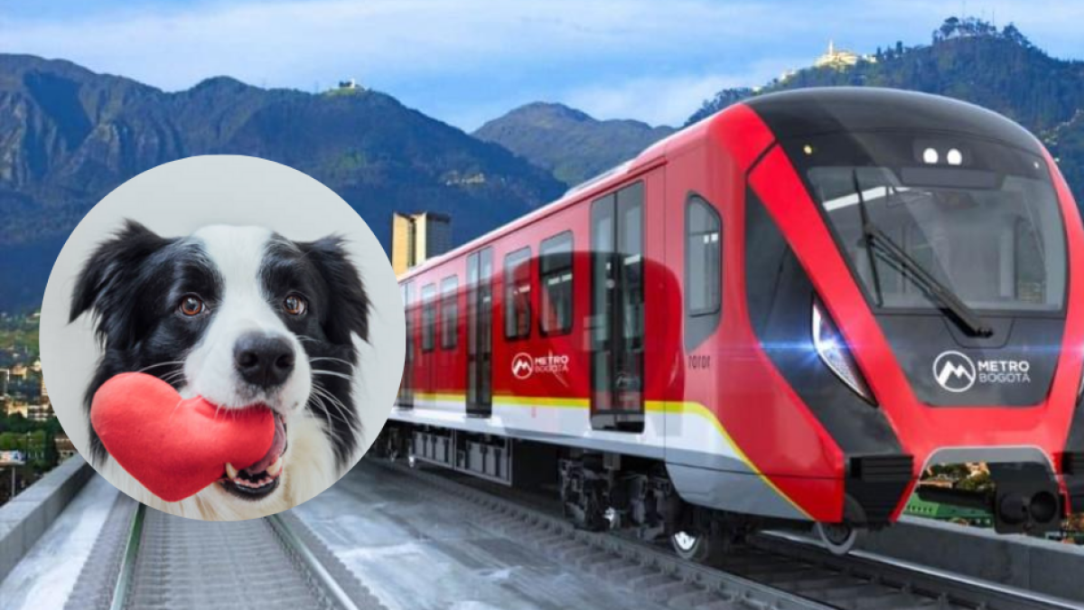 ¿El Metro de Bogotá será amigable para mascotas? Estas Son Las Condiciones para la Comodidad de los Pasajeros