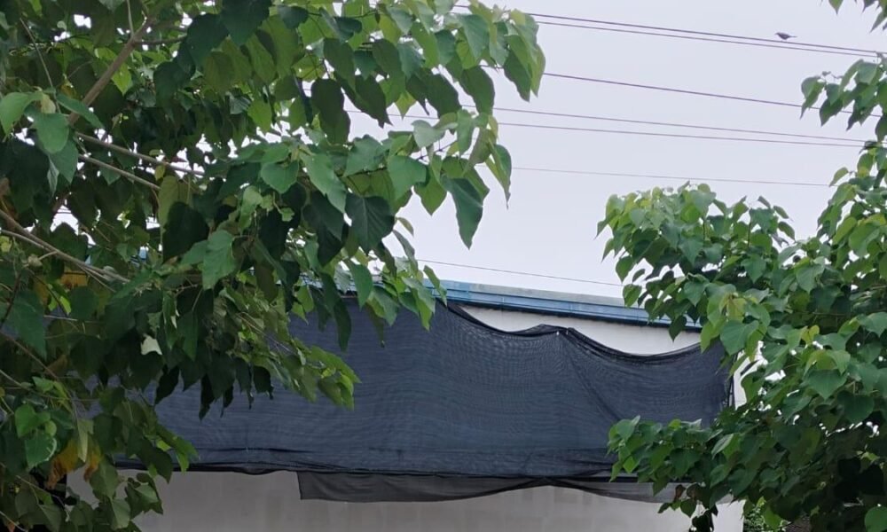 Defensoría Advierte Riesgo de Escalada de Las Autodefensas Conquistadoras de la Sierra Nevada en el Sur del Cesar