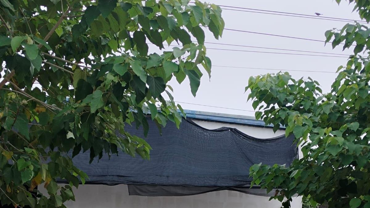 Defensoría Advierte Riesgo de Escalada de Las Autodefensas Conquistadoras de la Sierra Nevada en el Sur del Cesar