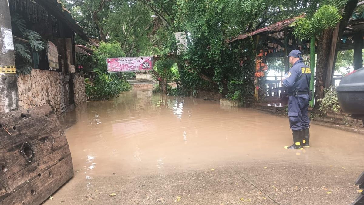 Natalia Gómez, Director de Gestión de Riesgo