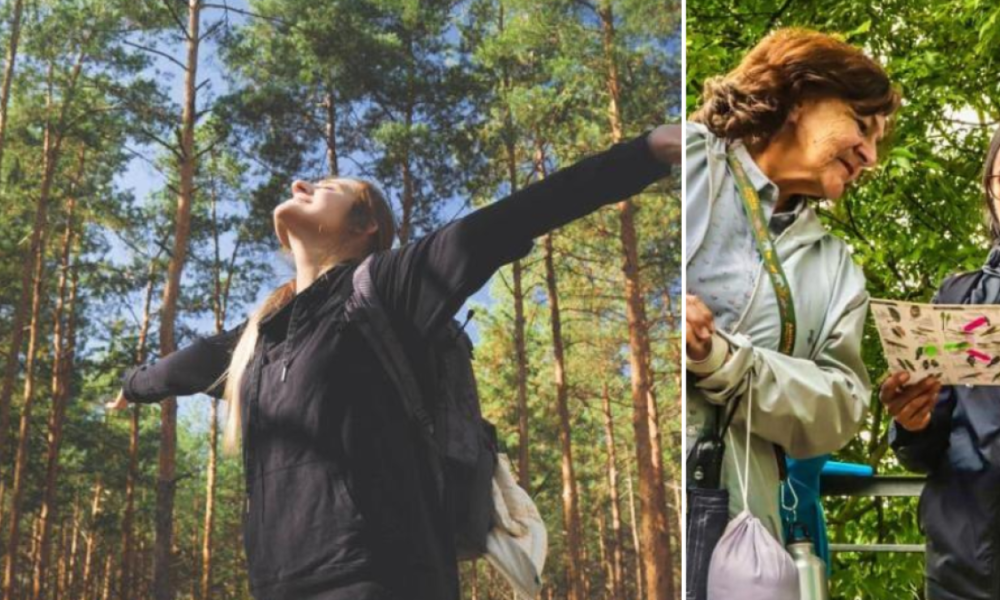 ¿PLANES DE SIN? Aproveche los Últimos Días de Mayo y Asista A Las Caminatas Ecológicas en Bogotá: Así Se Inscribe