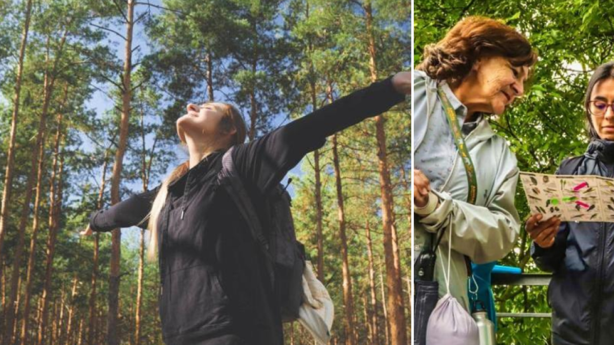 ¿PLANES DE SIN? Aproveche los Últimos Días de Mayo y Asista A Las Caminatas Ecológicas en Bogotá: Así Se Inscribe