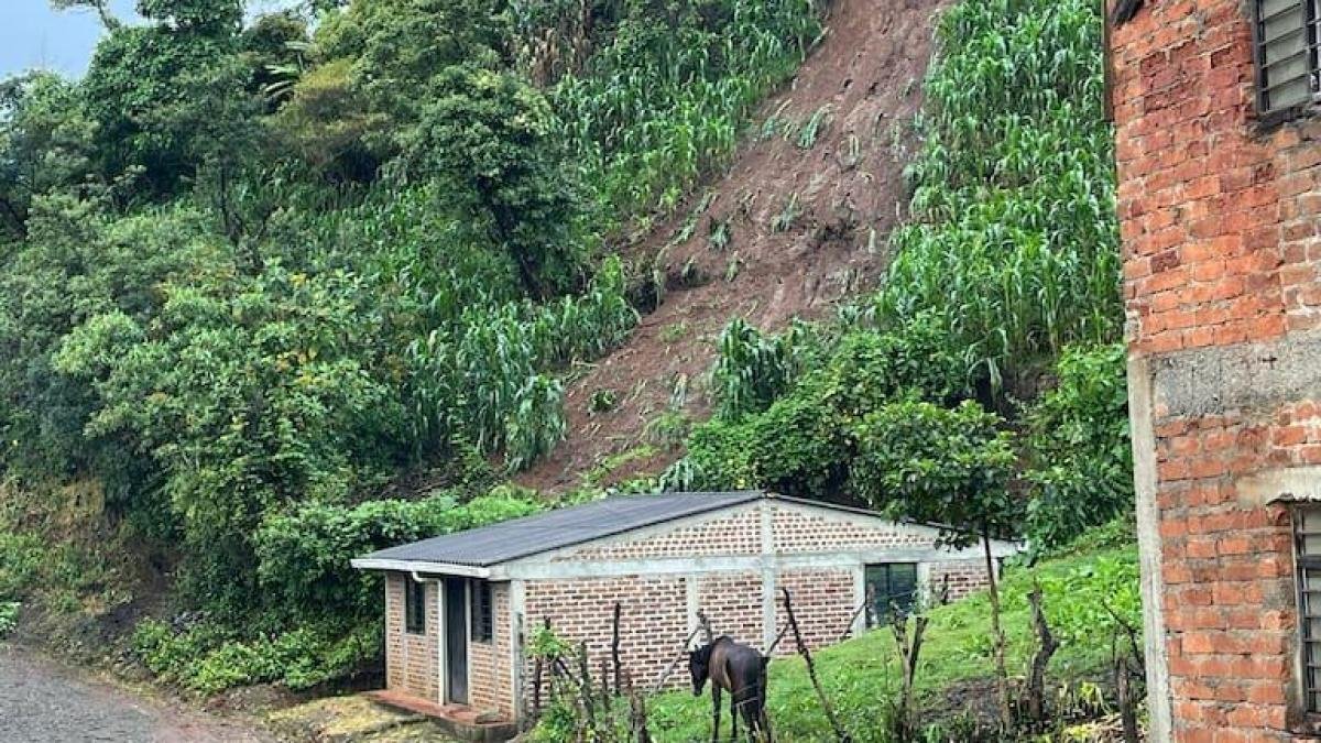 Fuertes lluvias causan emergencias en más de la mitad del departamento del cauca: 31 municipios están afectados