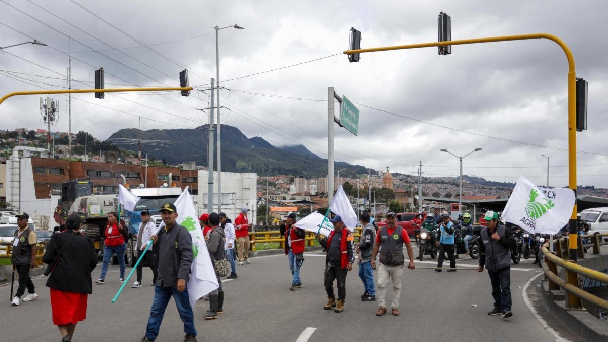 Protesta de la Guardia Campesina en Bogotá Está Generando Afectaciones en la Movilidad del Centro de la Ciudadad