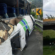Listado de estudiantes que iban en autobús de accidente del puente helicoidal, entre cajamarca y Calarcá: Hay 9 muertos