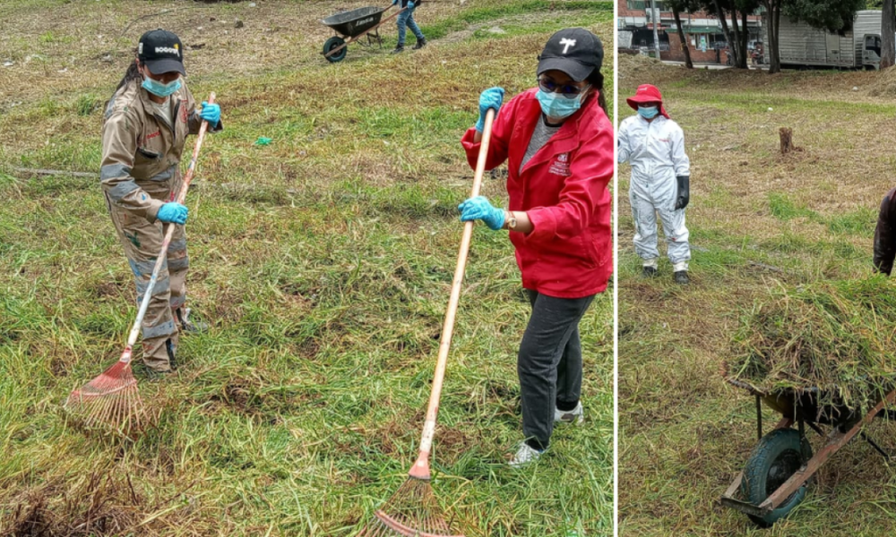 Limpian y revitalizan 15 mil metros cuadrados de zonas verdes en bogotá