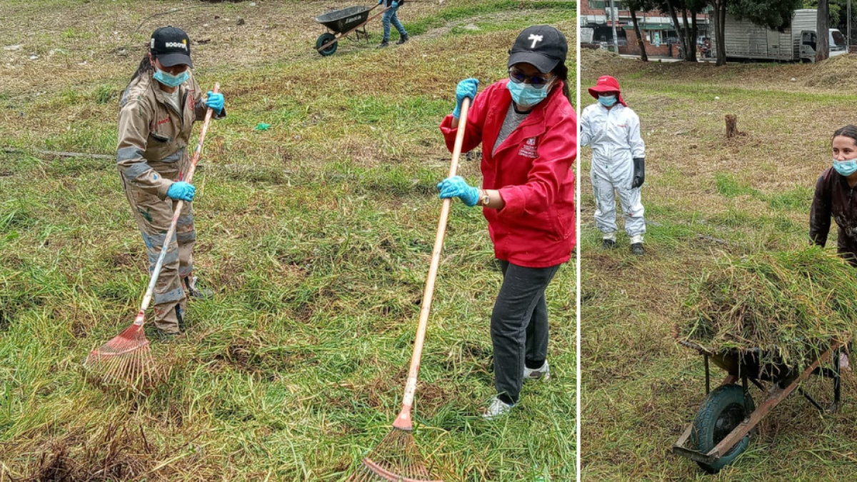 Limpian y revitalizan 15 mil metros cuadrados de zonas verdes en bogotá
