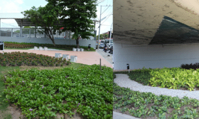 de Basurero y sitio peligroso a Zona Verde y de Encuentro de los Barranquilleros