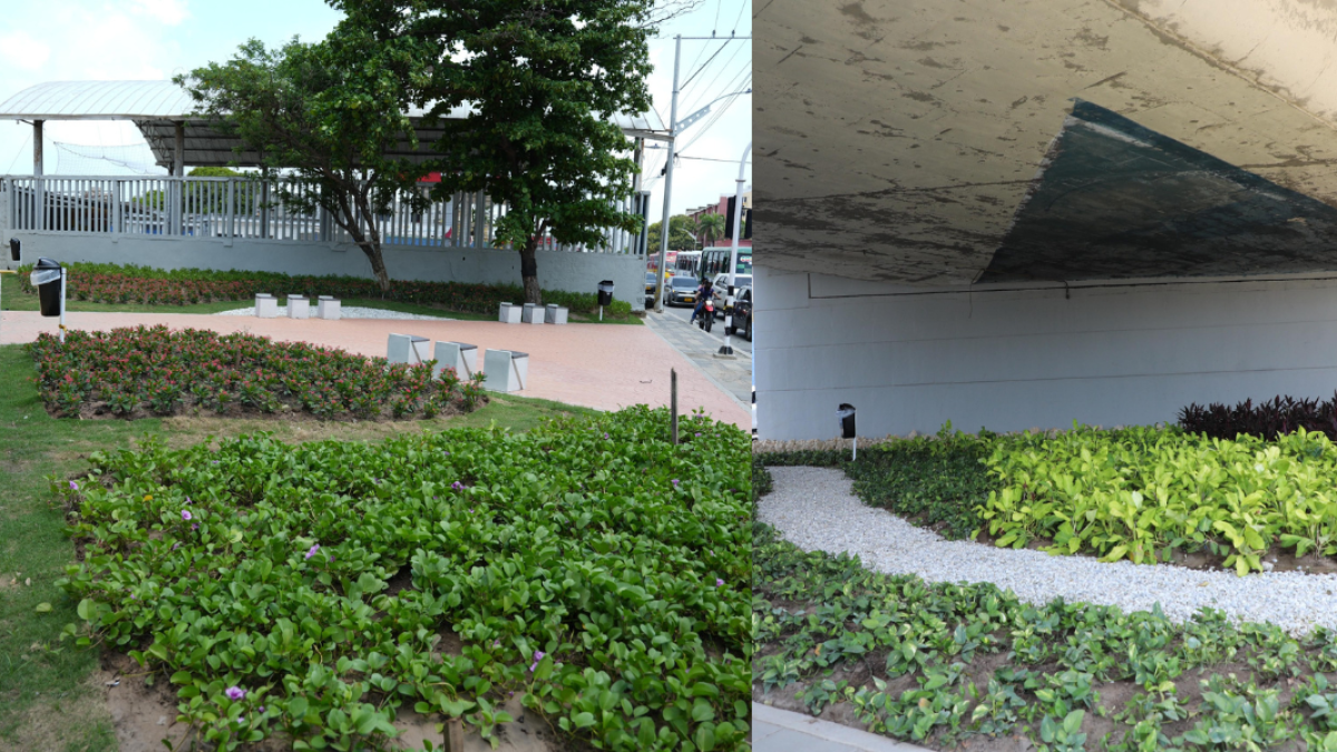 de Basurero y sitio peligroso a Zona Verde y de Encuentro de los Barranquilleros