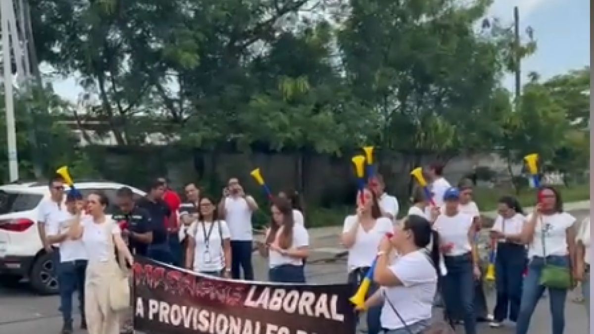 Limitaciones generadas y Perdidas Millonarias