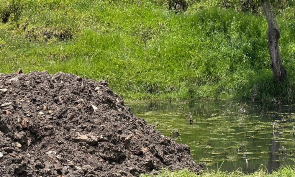 Auto frenó el Daño Gracias a la Comunidad