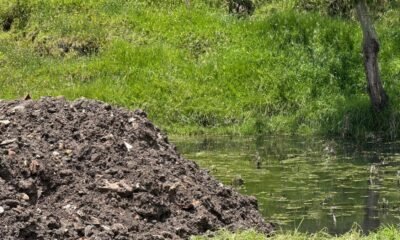 Auto frenó el Daño Gracias a la Comunidad