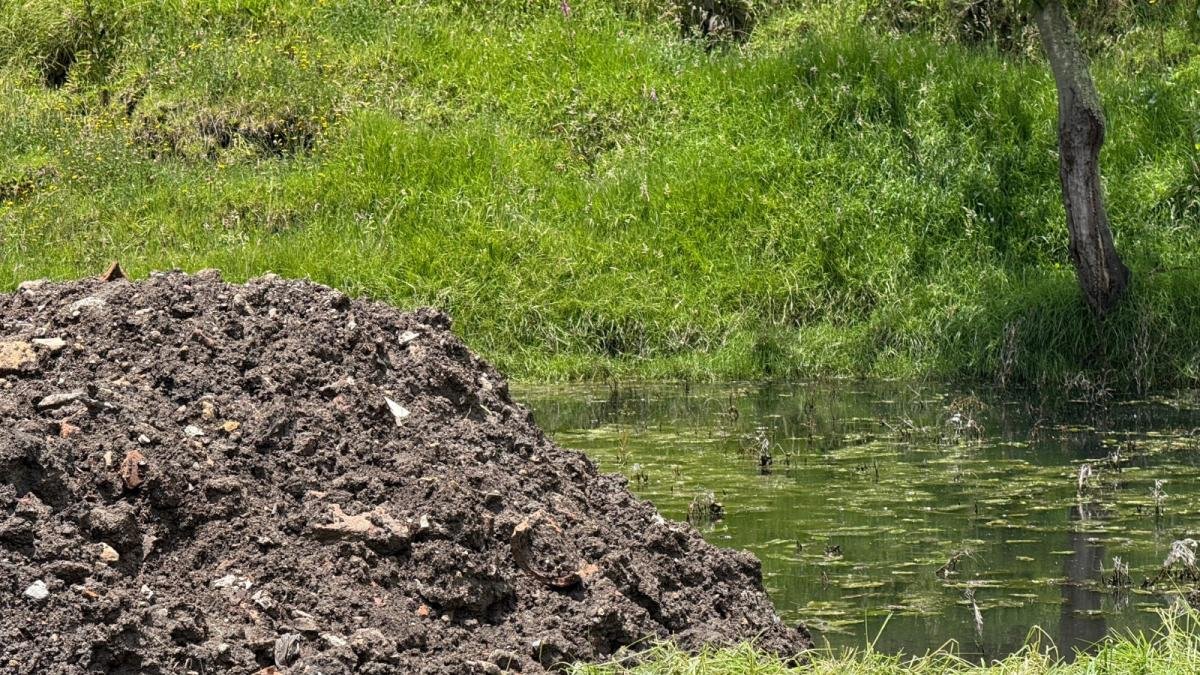 Auto frenó el Daño Gracias a la Comunidad