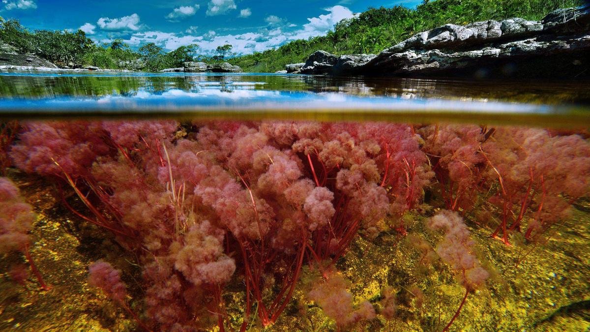 Caño Cristales, Joya Turínstica del Meta