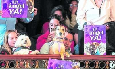 Colombia SE Encamina Hacia un Estado para los animales