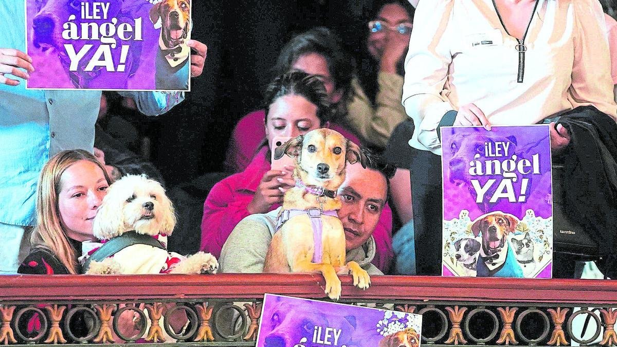 Colombia SE Encamina Hacia un Estado para los animales