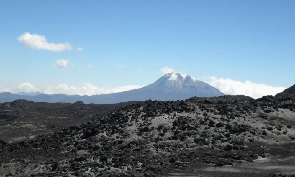 Congreso Aprobó Ley Que Busca Preservar La Memoria