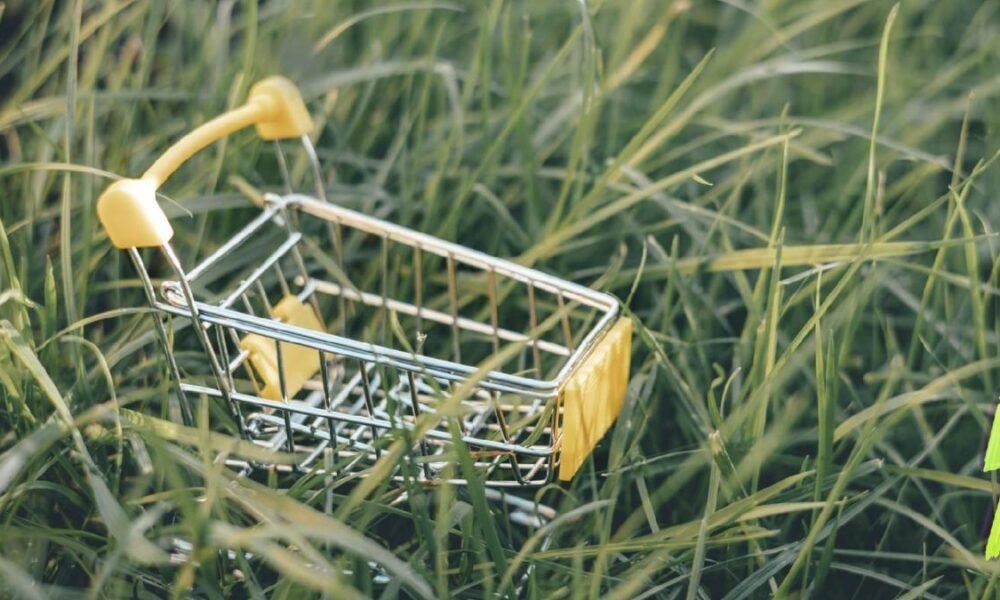 Compras Sostenibles, bnpl y más