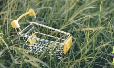 Compras Sostenibles, bnpl y más