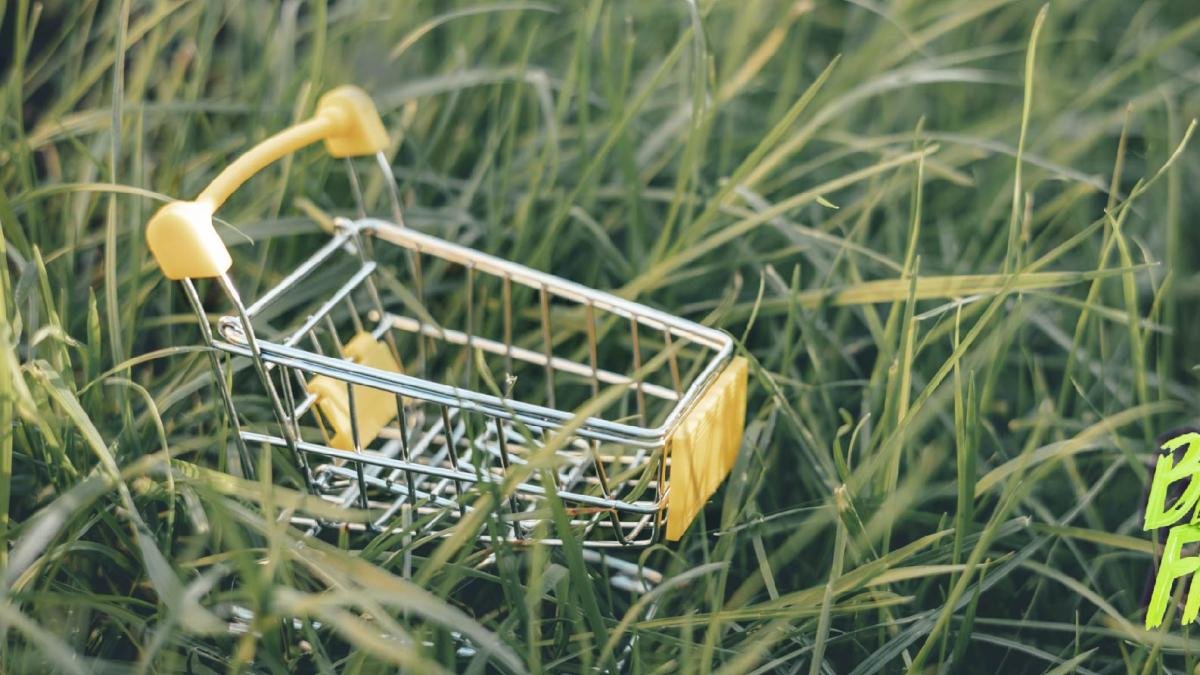 Compras Sostenibles, bnpl y más