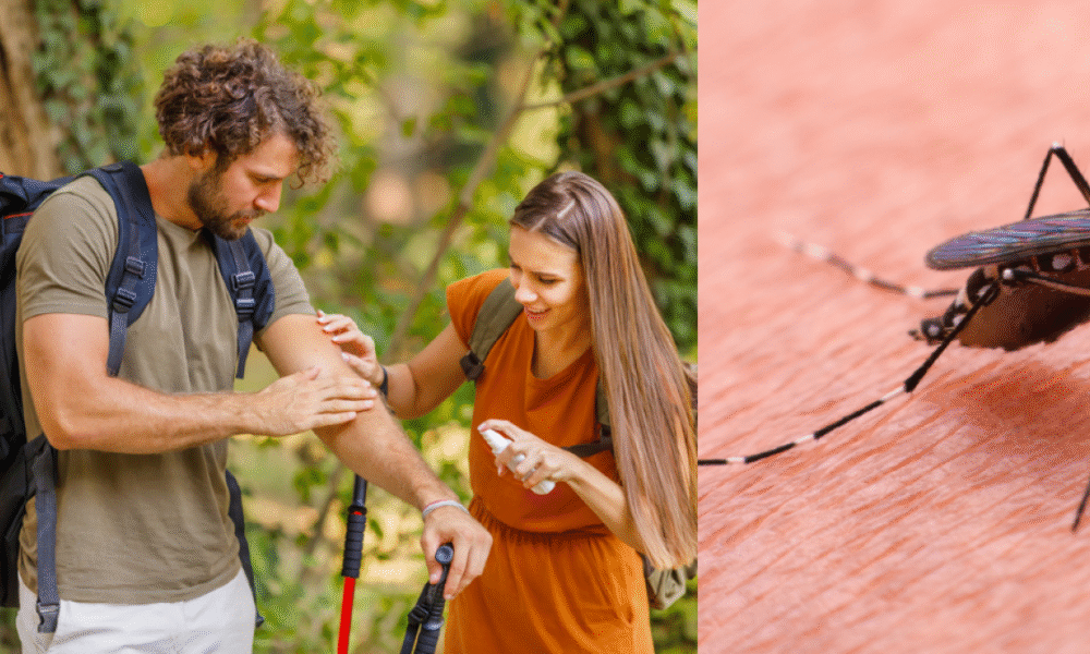 El Distito Refuerza Control en Zonas Más Afectadas