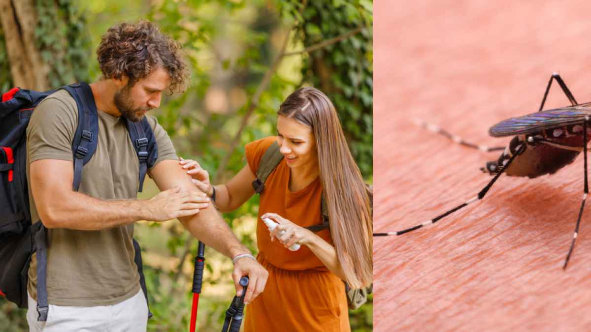 El Distito Refuerza Control en Zonas Más Afectadas