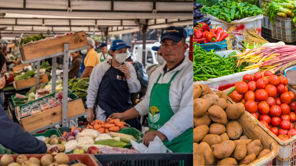 Habrá Más de 300 Productores