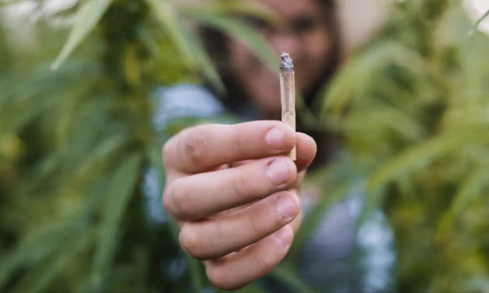 Consumo de Drogas en el Espacio Público de Bogotá Quedario Prohibido