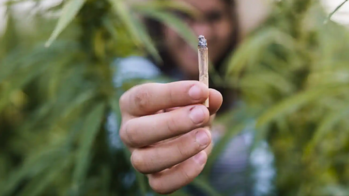 Consumo de Drogas en el Espacio Público de Bogotá Quedario Prohibido