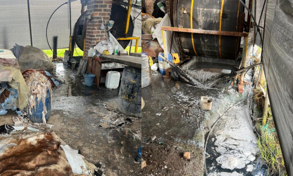 Curtiembres en la Mira de la Car por Vértimento Ilegal en ríos, Van Más de 20 Operaciones y SEIS SUSPENSIONES