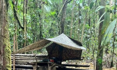 Ejército desmanteló Campamento Ilegal en el Cauca y rescata A Tres Menores Reclutados por Grupos Armados