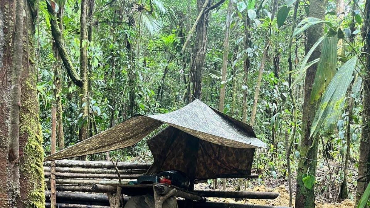 Ejército desmanteló Campamento Ilegal en el Cauca y rescata A Tres Menores Reclutados por Grupos Armados