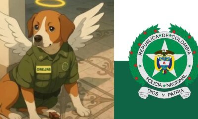 Élt era 'Orejas', El Perrito que Murió Durante Hostigamiento en Estación de Policía en Antioquia