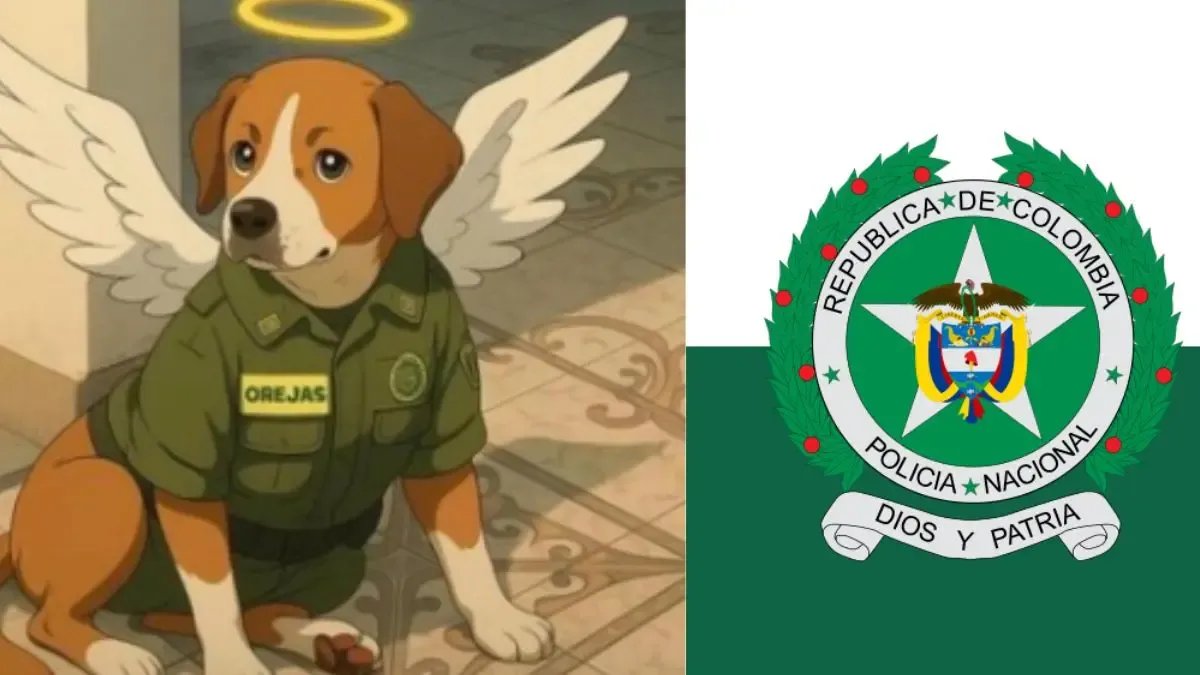 Élt era 'Orejas', El Perrito que Murió Durante Hostigamiento en Estación de Policía en Antioquia