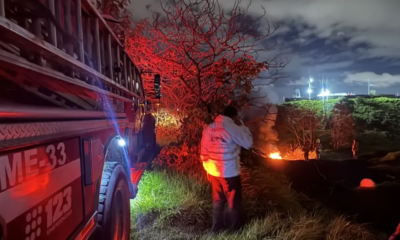 Acción Rápida de Bombeos Evitó Desastre Ecológico por Quema de Llantas en Bogotá: SE Adelantan Sanciones